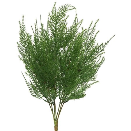 DARE2DECOR 19.5 in. Green Asparagus Bush DA1235967